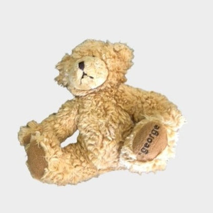 Teddy Bear George